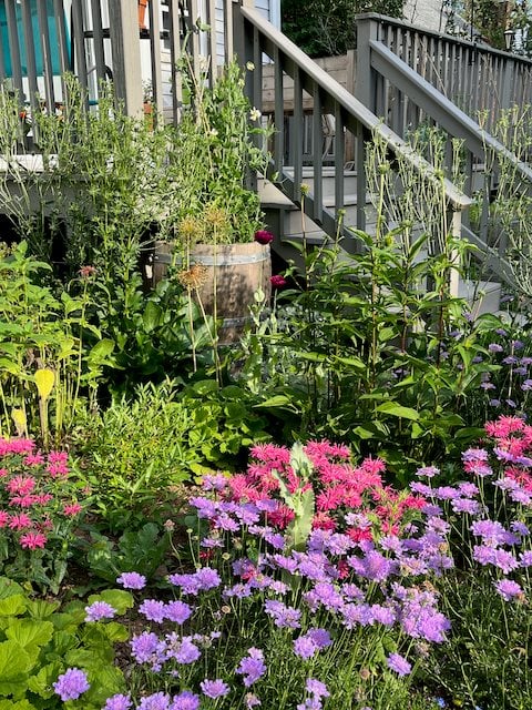 Bee Balm And Garden Planting
Garden Design
Calimesa, CA