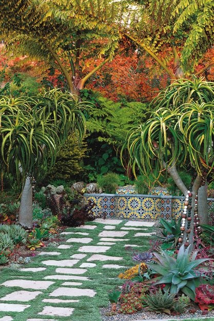 Berkeley Garden, Brandon Tyson
Mediterranean Berkeley Garden, Photo Gallery
Brandon Tyson
Berkeley, CA