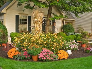 Colorful Fall Front Garden
Garden Design
Calimesa, CA