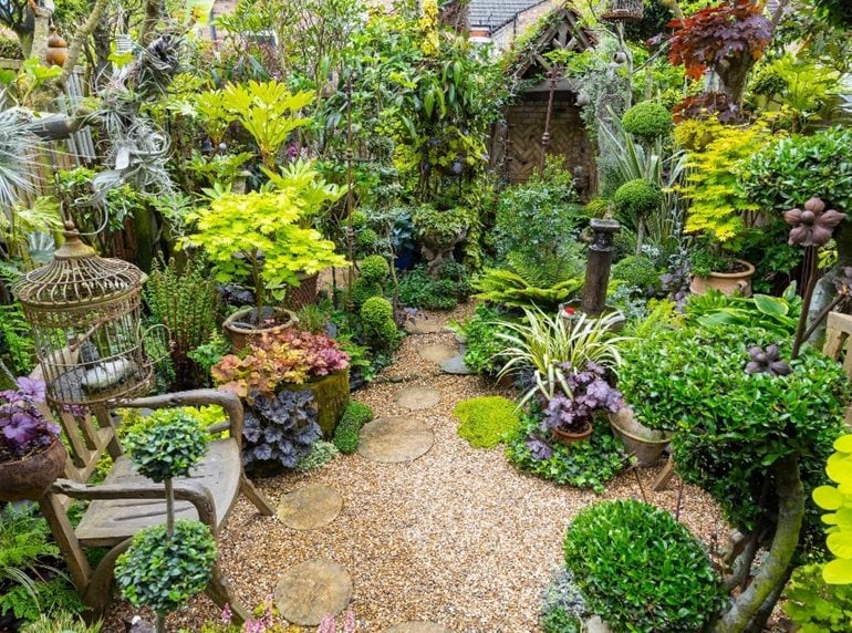 Colorful UK foliage garden