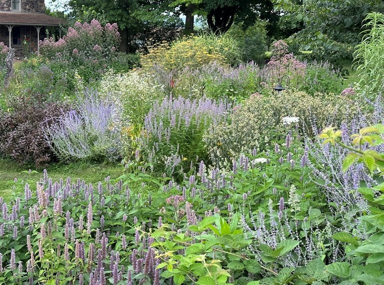 pollinator garden beds