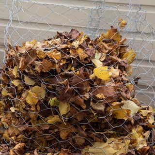 Fall Leaves In Chicken Wire
"Dream Team's" Portland Garden
Shutterstock.com
New York, NY
