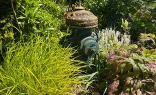 Fire Hydrant In Garden
Ornamental Grasses in Pots
Garden Design
Calimesa, CA