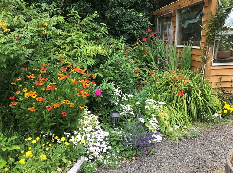 Perennial and shrub border