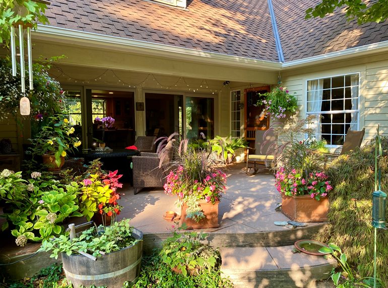 Garden patio with plants