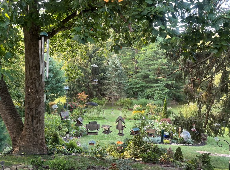 Garden View
Garden Design
Calimesa, CA