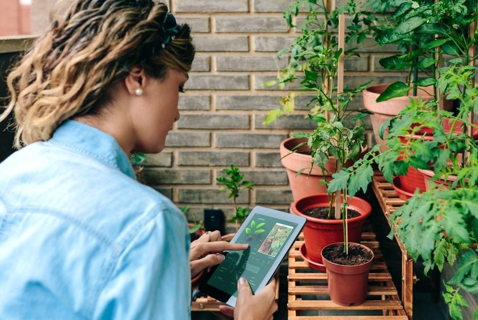 Gardener Using Ai Gardening App
Shutterstock.com
New York, NY
