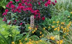 Gardens, Global Warming
Garden Design
Calimesa, CA