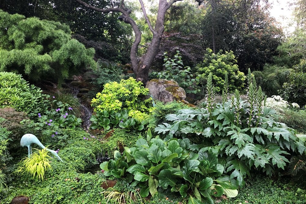 Green Foliage Garden
Garden Design
Calimesa, CA