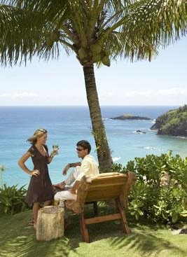 Hawaiian Recipes
"Dream Team's" Portland Garden
Garden Design
Calimesa, CA