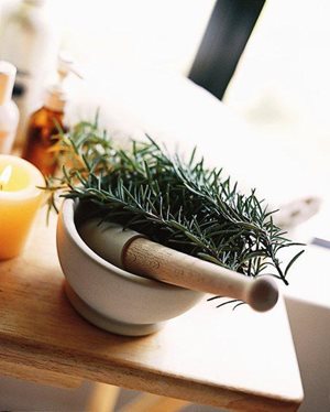 Herbal Helpers
Garden Design
Calimesa, CA