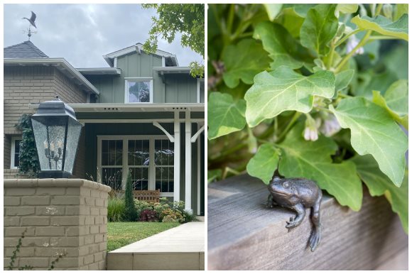 House And Frog Statue
Garden Design
Calimesa, CA