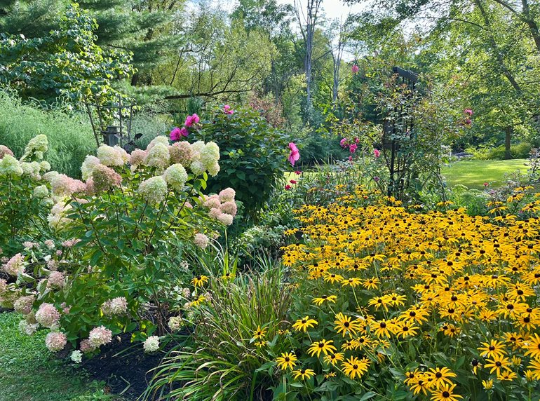 Hydrangea And Rudbeckia
Garden Design
Calimesa, CA