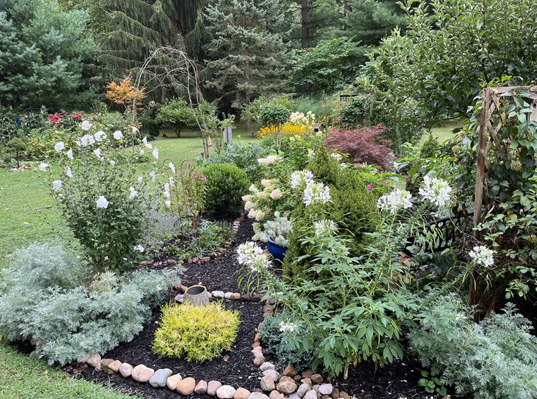 Island Planting Bed
Garden Design
Calimesa, CA