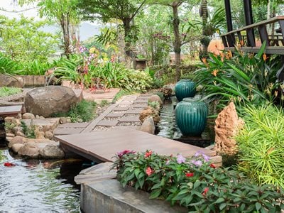 Japanese stroll garden with bridges