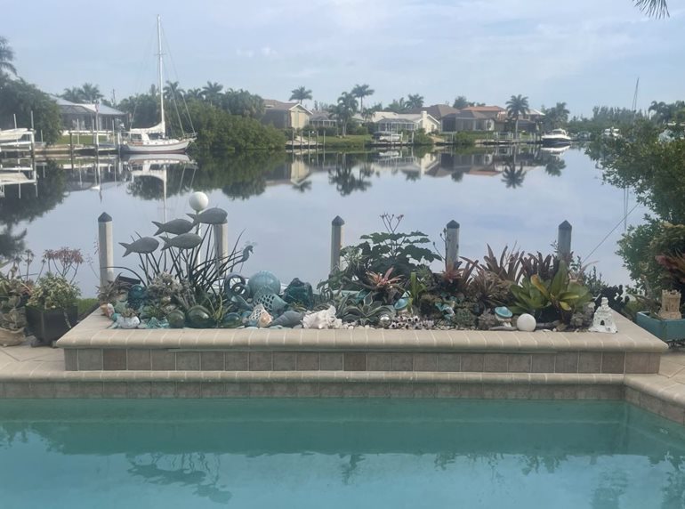 Heuchera and Japanese maple