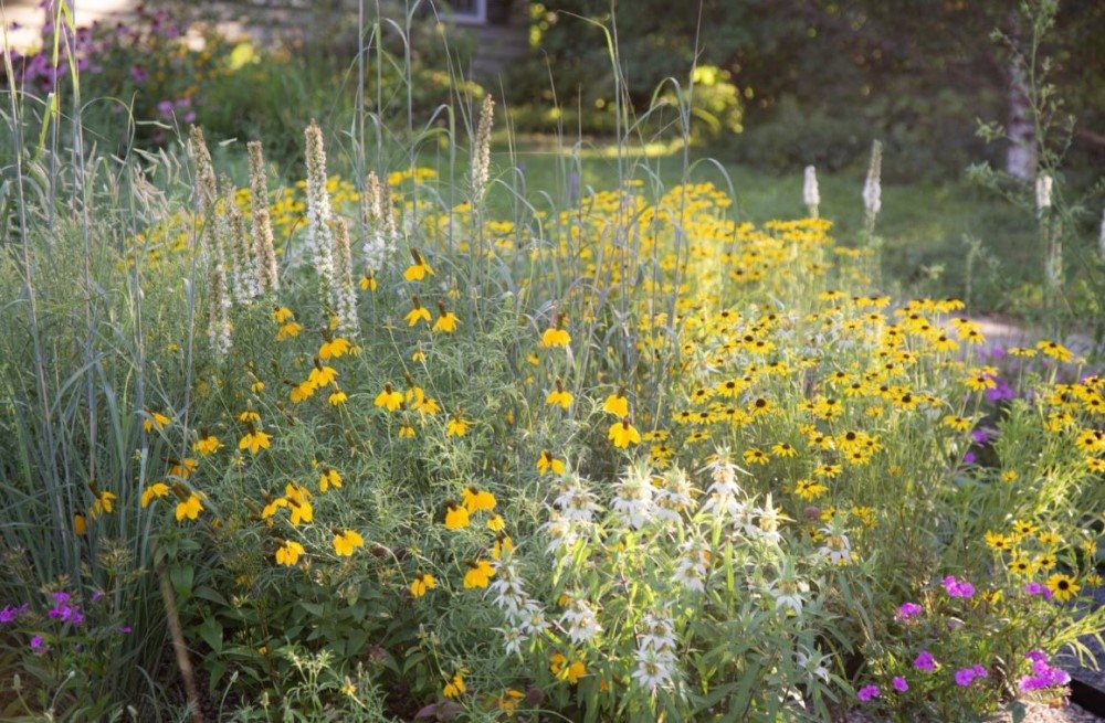 Landscaped Prairie, Perennial Garden
Garden Design
Calimesa, CA