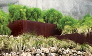 Small Garden Pictures
LandWest Design Group
Austin, TX