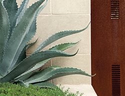 Succulent and Cacti Pictures
LandWest Design Group
Austin, TX