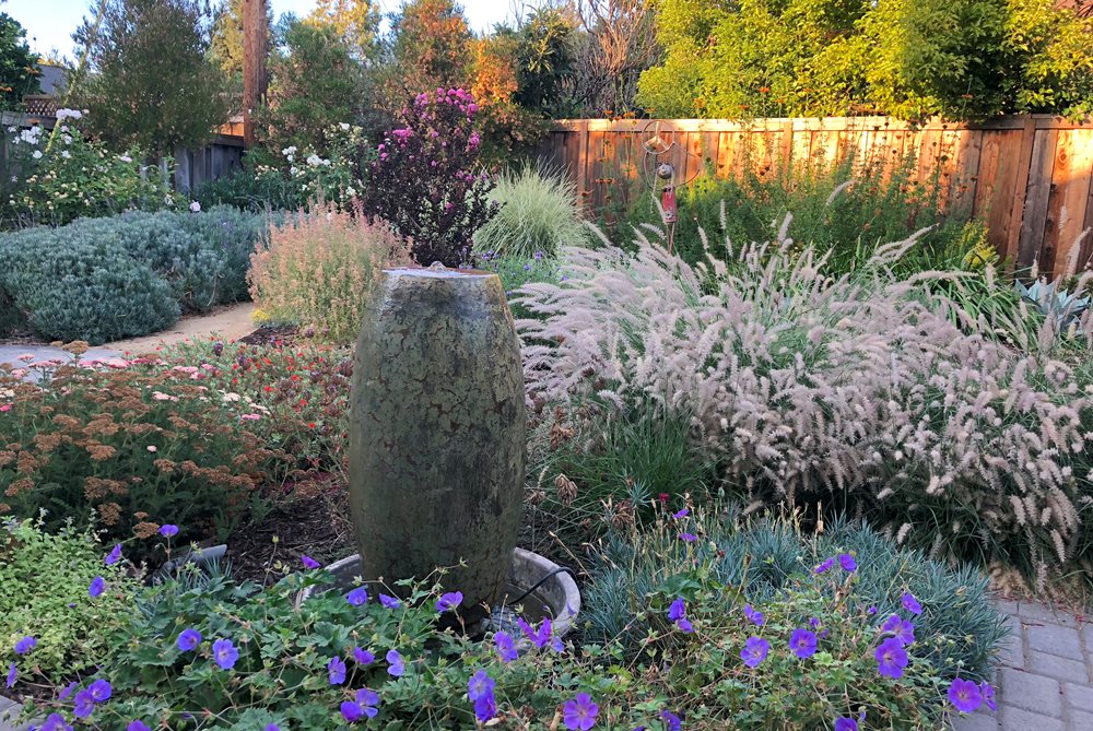 Low-Water Garden
Garden Design
Calimesa, CA