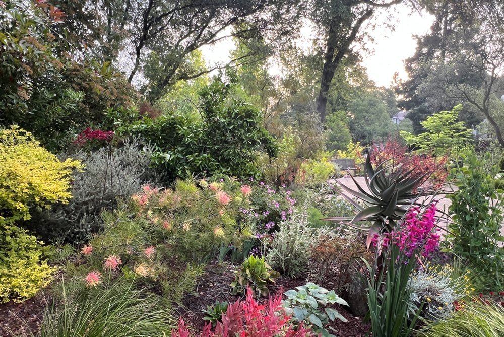 Maximalist Garden With Succulents, Perennials, And Shrubs
Garden Design
Calimesa, CA