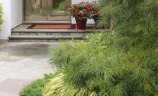 Modern Garden Deer Country
Small Garden Pictures
Johnsen Landscapes & Pools
Mount Kisco, NY