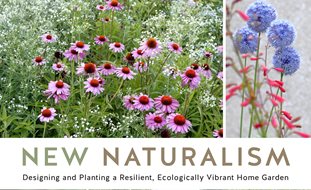 New Naturalism Book
Garden Design
Calimesa, CA