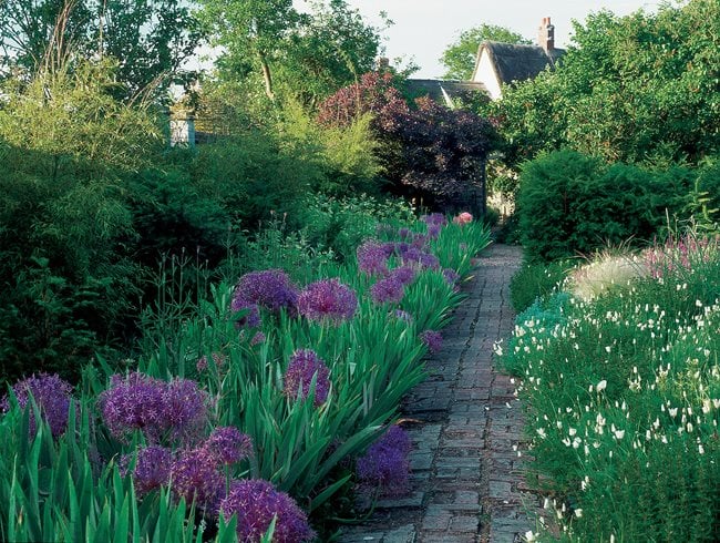 Purple Alliums, White California Poppies
Garden Design
Calimesa, CA