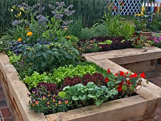 VEGETABLE GARDEN