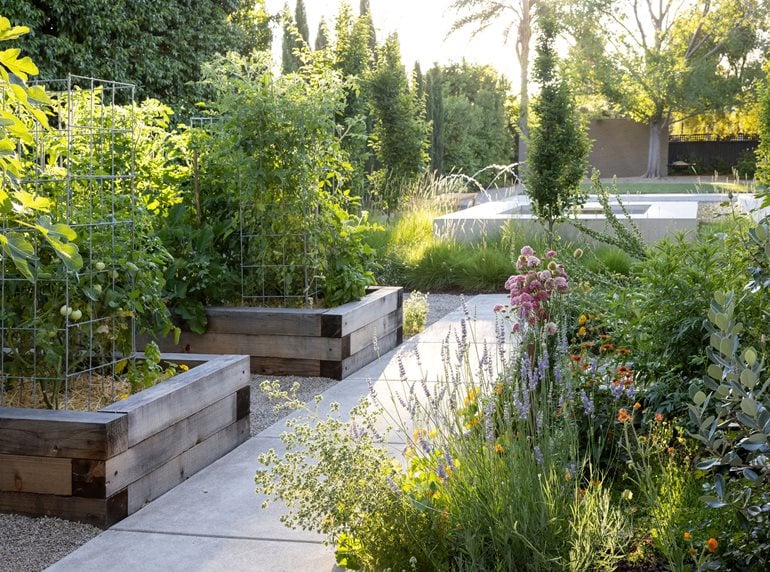 Raised beds in garden