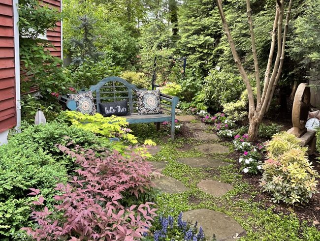Side Yard With Bench
Alli Guleria
Washington D.C., 