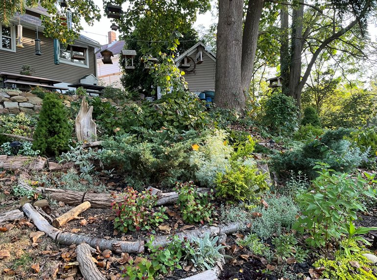 Sloped Garden Beds
Garden Design
Calimesa, CA