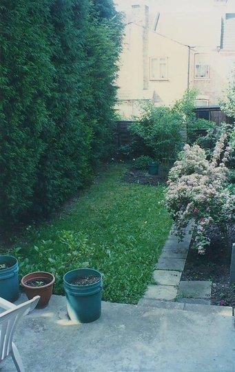 Small UK garden