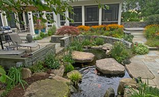 Storms/bachar Pond And Patio
Morty Bachar / Patty Storms
Lewes, DE