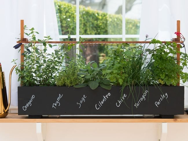Window Box, Herbs, Chalkboard
Garden Design
Calimesa, CA
