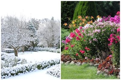 Winter And Summer Gardens
Garden Design
Calimesa, CA