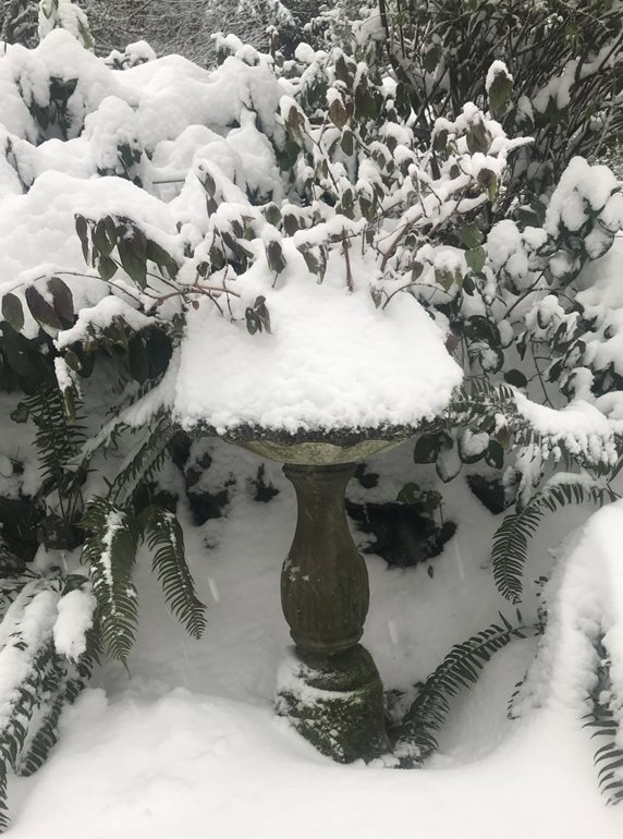 Winter birdbath