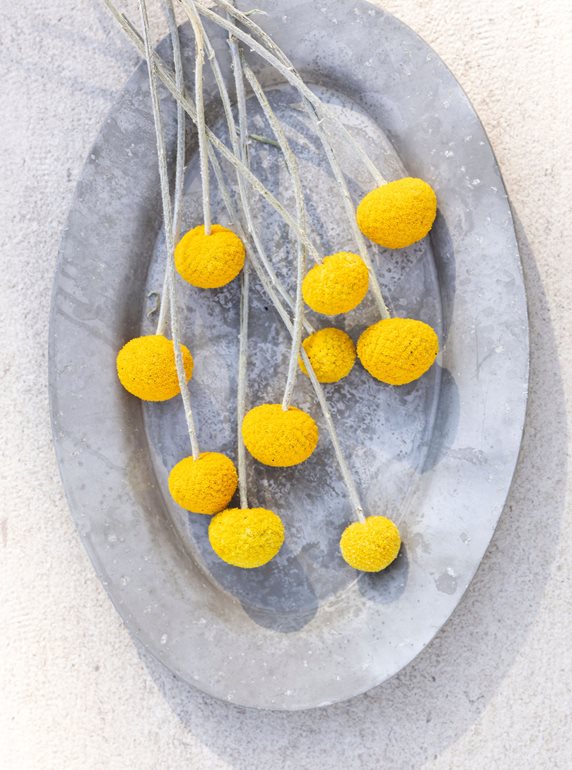 Yellow Flowers On Tray
Garden Design
Calimesa, CA